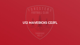 U12 Mavericks CDJFL