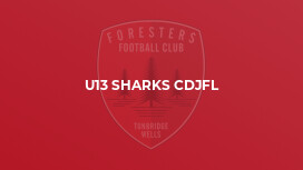 U13 Sharks CDJFL