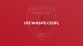 U13 Wasps CDJFL