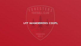 U17 Wanderers CDJFL