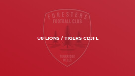 U8 Lions / Tigers CDJFL