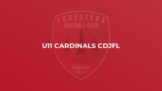 U11 Cardinals CDJFL