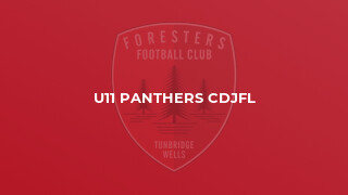 U11 Panthers CDJFL
