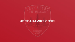 U11 Seahawks CDJFL