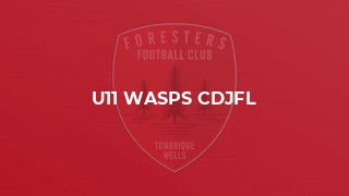 U11 Wasps CDJFL