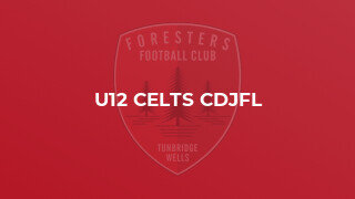 U12 Celts CDJFL