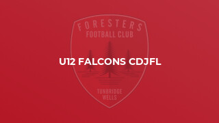 U12 Falcons CDJFL