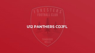 U12 Panthers CDJFL