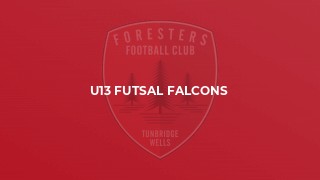 U13 Futsal Falcons