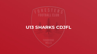 U13 Sharks CDJFL