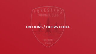 U8 Lions / Tigers CDJFL