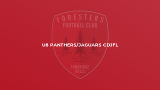 U8 Panthers/Jaguars CDJFL