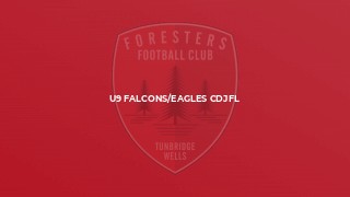U9 Falcons/Eagles CDJFL