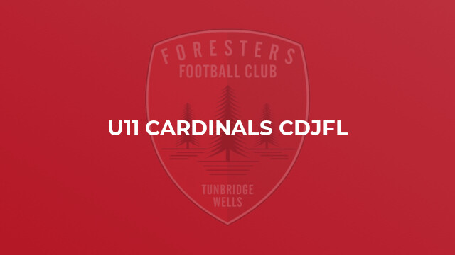 U11 Cardinals CDJFL
