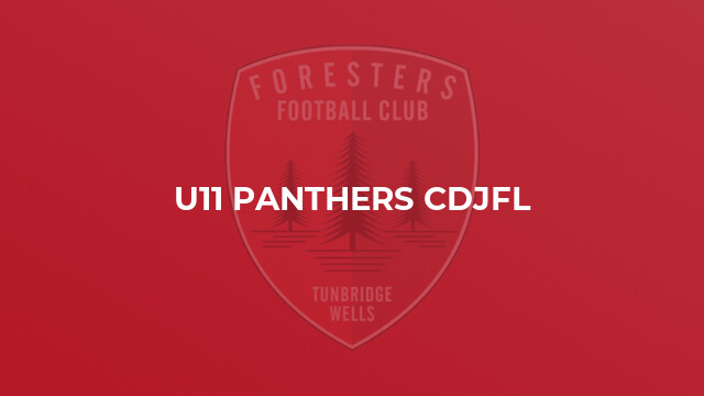 U11 Panthers CDJFL