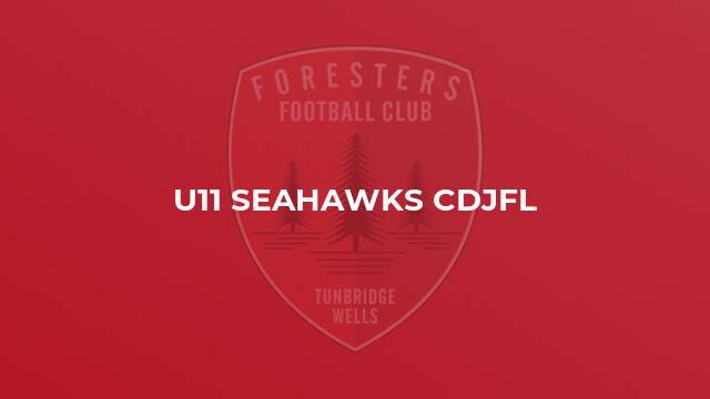 U11 Seahawks CDJFL
