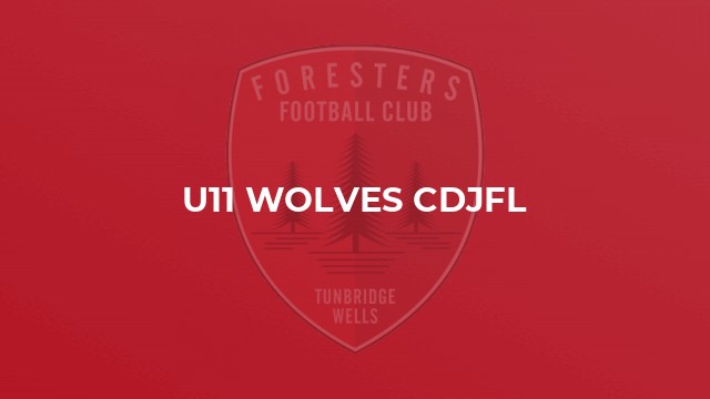 U11 Wolves CDJFL