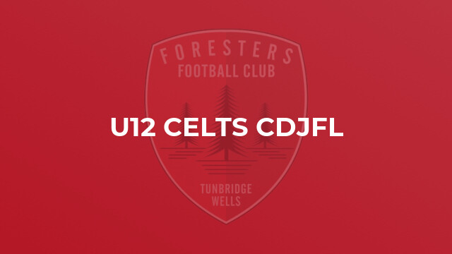U12 Celts CDJFL