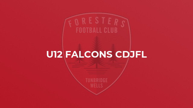U12 Falcons CDJFL