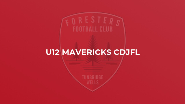 U12 Mavericks CDJFL