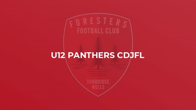 U12 Panthers CDJFL