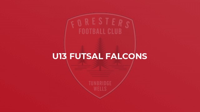 U13 Futsal Falcons