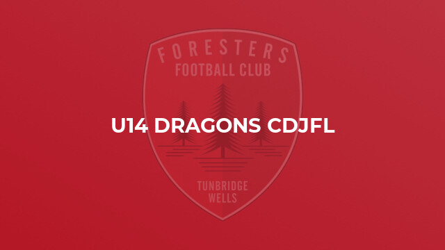 U14 Dragons CDJFL