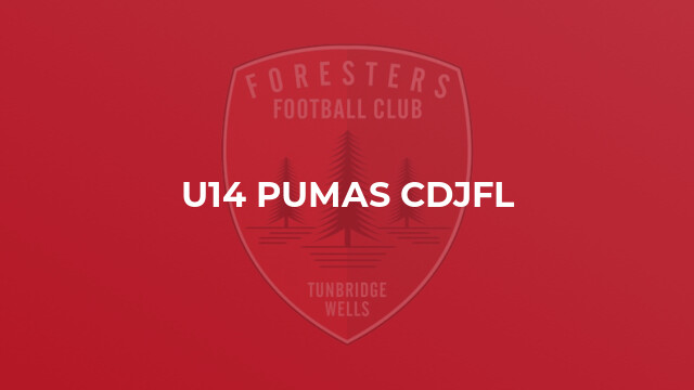 U14 Pumas CDJFL