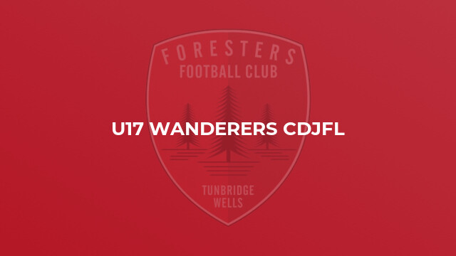 U17 Wanderers CDJFL