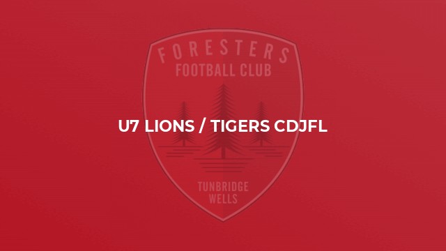 U7 Lions / Tigers CDJFL