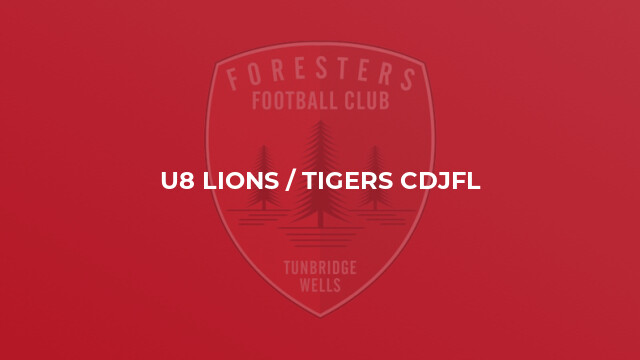 U8 Lions / Tigers CDJFL