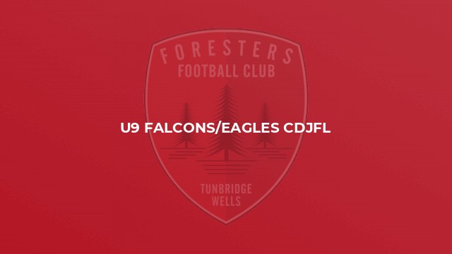 U9 Falcons/Eagles CDJFL