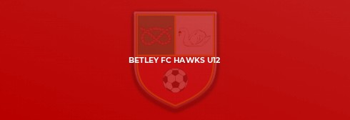 Betley FC Hawks in tough battle at Holmes Chapel