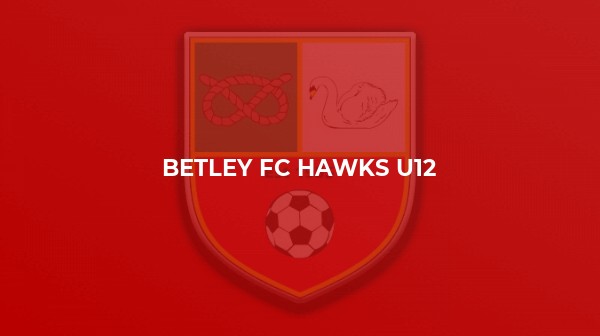 Betley FC Hawks battle hard to edge victory at Tytherington