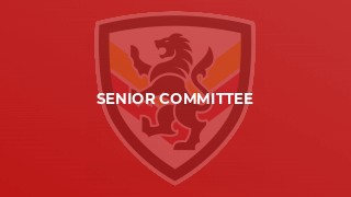 Senior Committee