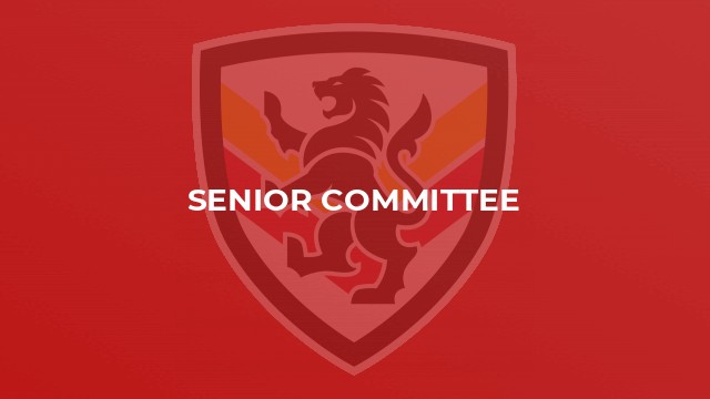 Senior Committee