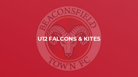 U12 Falcons & Kites