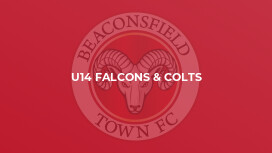 U14 Falcons & Colts