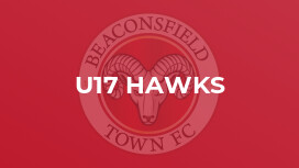 U17 Hawks