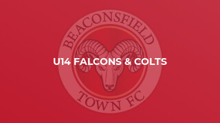 U14 Falcons & Colts
