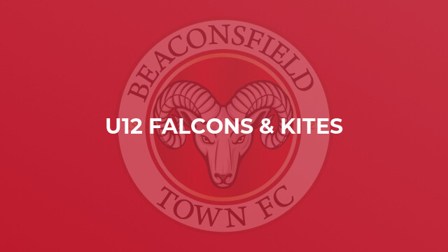 U12 Falcons & Kites
