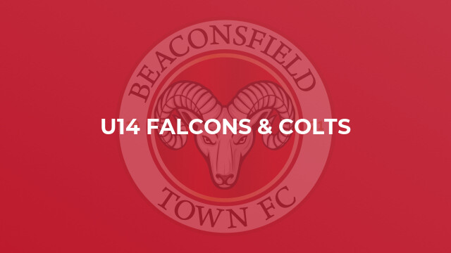U14 Falcons & Colts