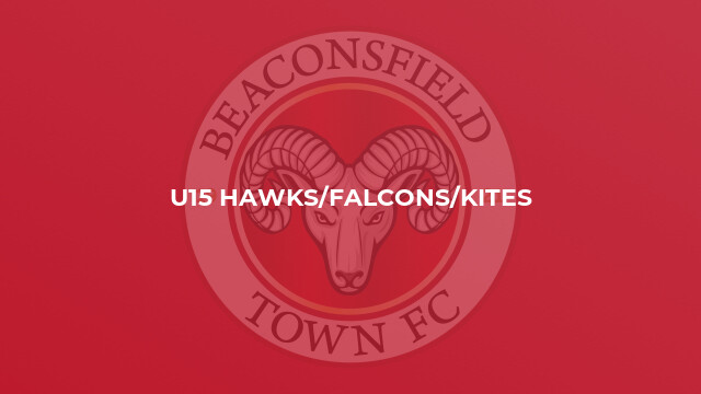 U15 Hawks/Falcons/Kites