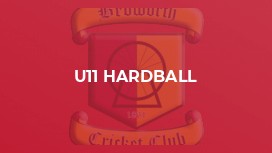 U11 Hardball