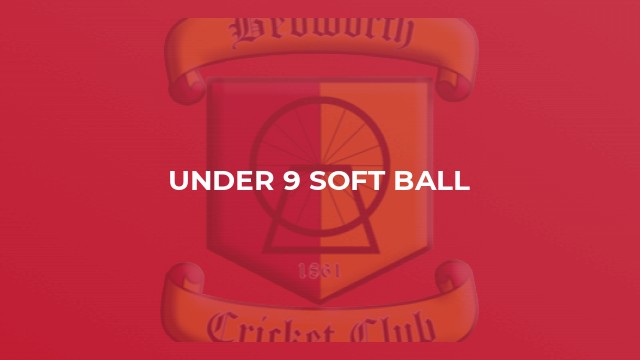 Under 9 Soft Ball