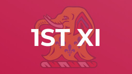 1st XI