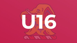 U16
