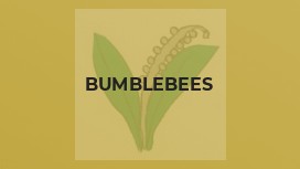 Bumblebees