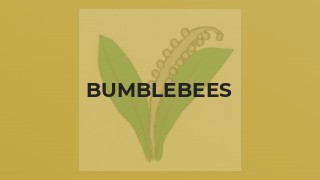 Bumblebees