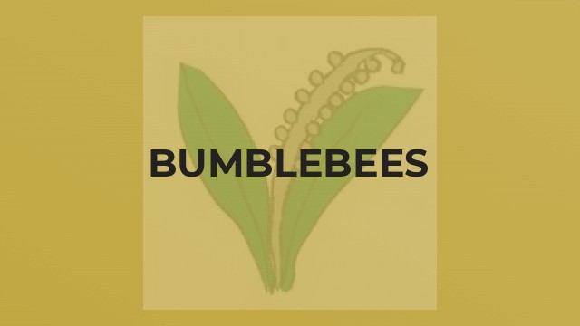 Bumblebees